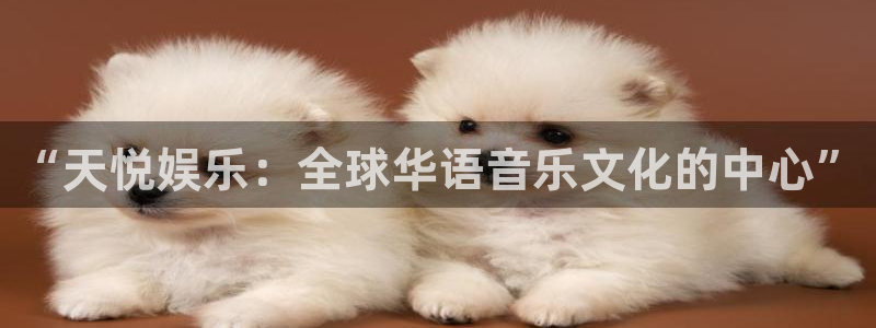 银河官网购票：“天悦娱乐：全球华语音乐文化的中心”