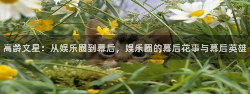 银河官网