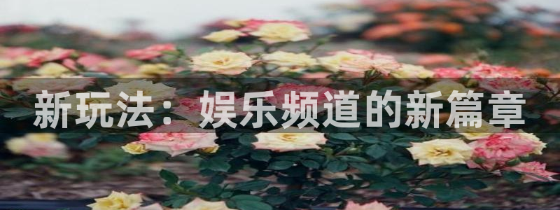 银河官网平台
