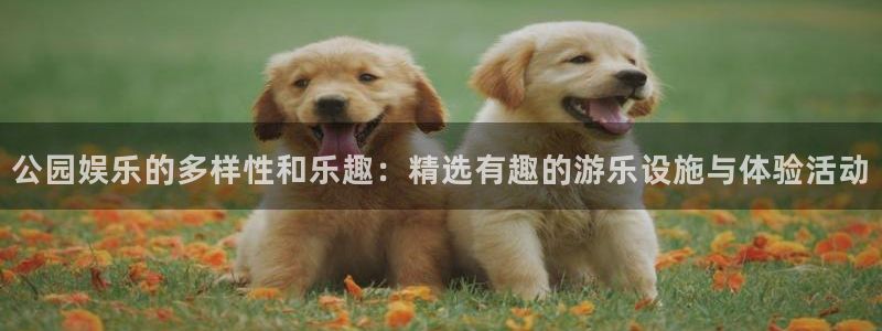 澳门银银河官网：公园娱乐的多样性和乐趣：精选有趣的游乐设施与体验活动